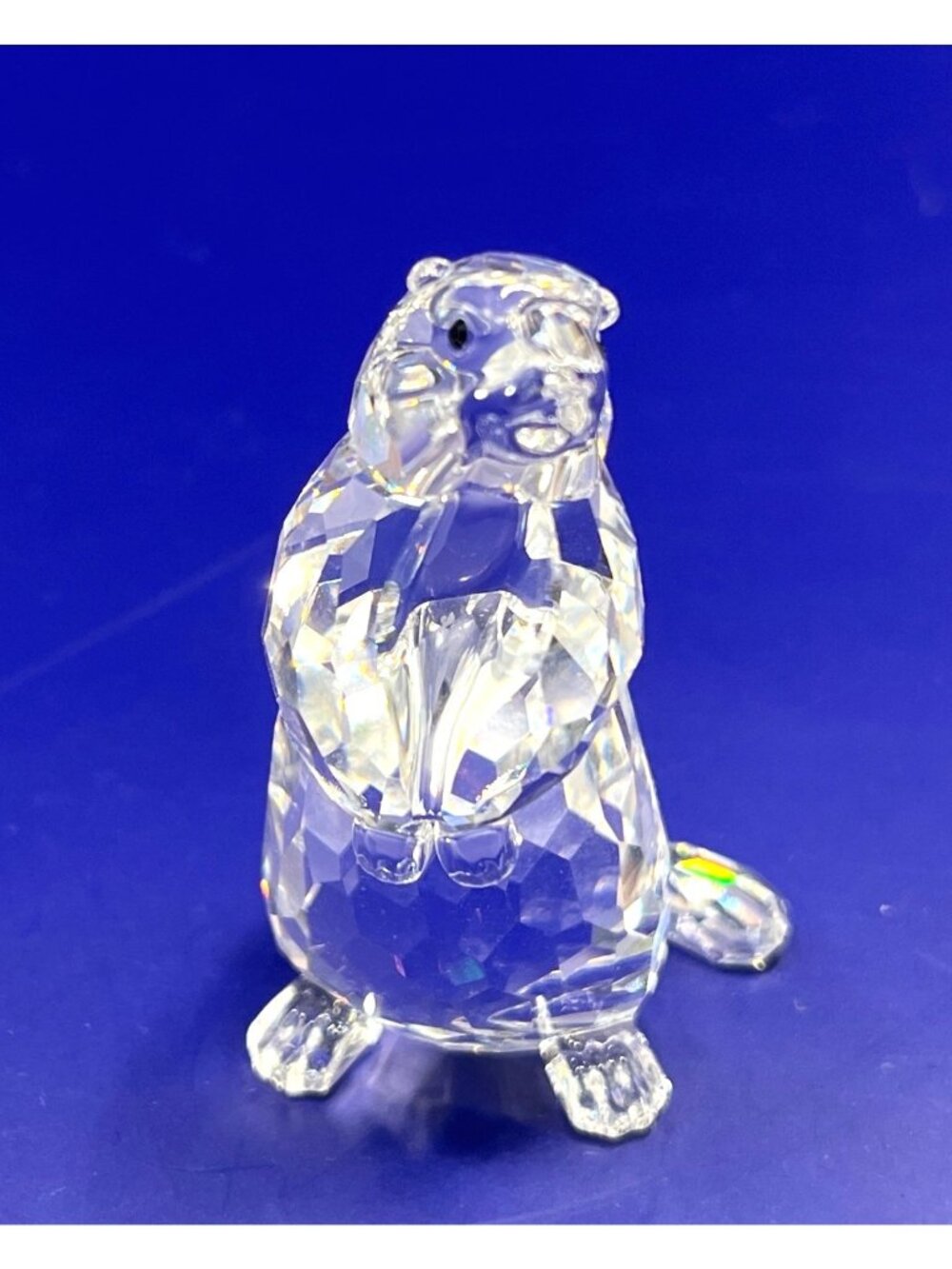 Swarovski Crystal Groundhog /Ground Squirrel Figurine Original Box & Packaging